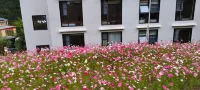 Mist Haven B&B (Siguniang Mountain Scenic Area Branch)