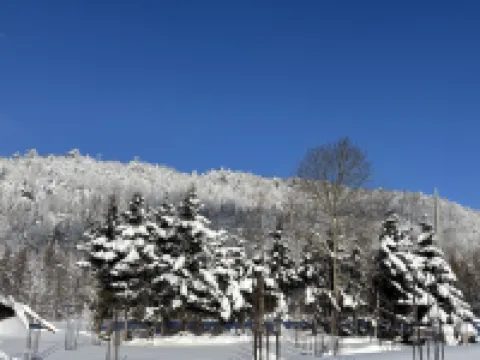 A snow and a winter   Hotel Hotels in Hailin