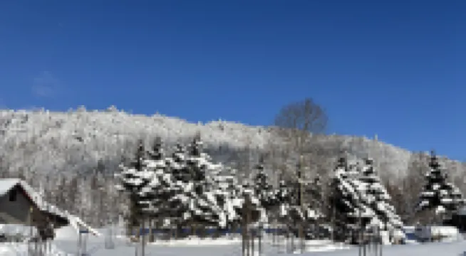 A snow and a winter   Hotel