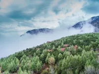 Forest Village Hotels and Resorts Beijing Hotéis em Fangshan Scenic Area