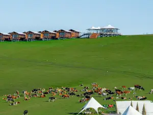 Popular Cultural Hotels in Old Barag Banner