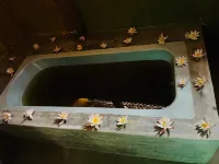 アーユルヴェーダ ランカ ウェルネス ホテル - スパ