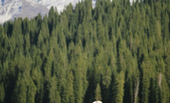 Qiongkushitai Captain and Bridge Homestay