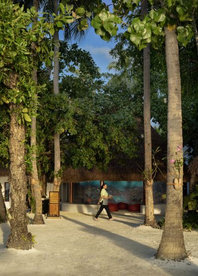 庭 アンサナ イフル モルディブの写真