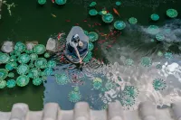 Spirited Silky Inn（ncient Dali City）