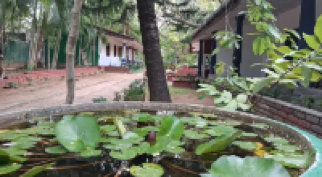 Eco Nature Lodge - Habarana