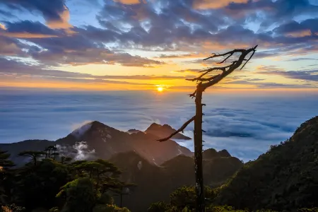 Sanqingshan Yuhuangding Hotel Отели рядом с достопримечательностью «Yujingfeng Sceneic Area»