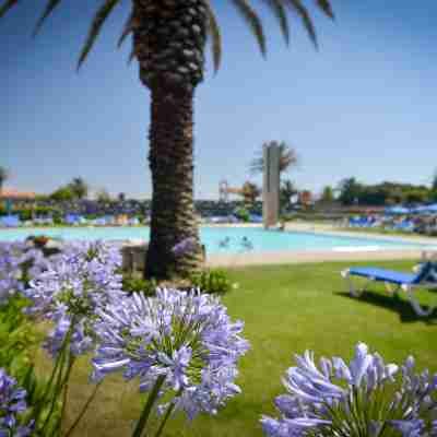 索維德Spa和健康中心飯店 Hotel Exterior