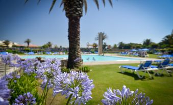 Hotel Solverde Spa and Wellness Center