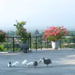 Abhayagiri - Sumberwatu Heritage Resort - Bergblick