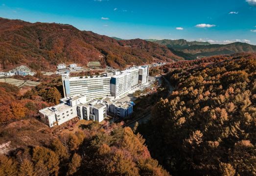 호텔 어라운드 평창