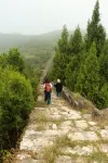 Zen Residence - Inns