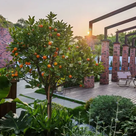 Lan Hua Li Courtyard Hotel -  Xiamen University & Nan Pu Tuo Temple Отели рядом с достопримечательностью «Храм Нанпутуо»