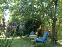 Golden Plum Home - เปิดใหม่
