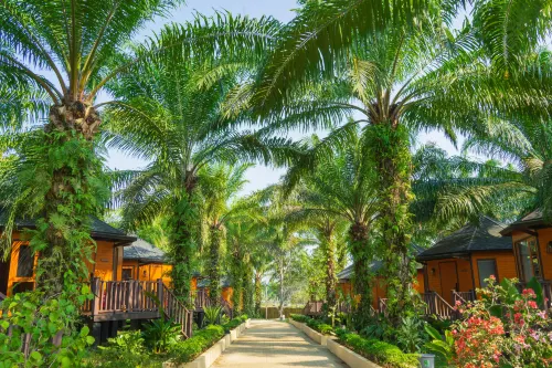 PUDINA RESORT - 4-Star