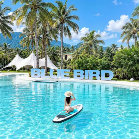 Blue Bird·Infinity Pool Designer Ocean Villa (Riyuewan Store)Wanning