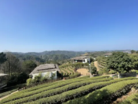 Earthly Teauage Homestay