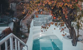 Villa·Qinran Resort at Wild Pool Hot Springs (Mutianyu Branch)