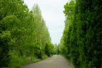 Xianju Miyueshe  minsu