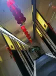Jixi Moyan Homestay (Wanda) Các khách sạn ở Kê Đông