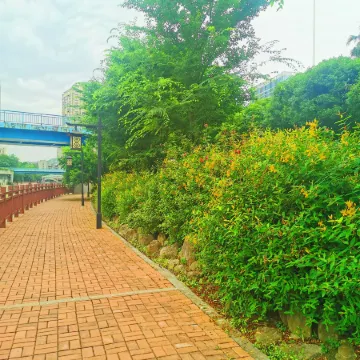 Rongyu International Hotel (Jishhou Municipal Government Ganzhou Ancient City Branch)