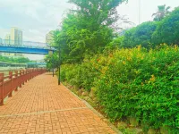 Rongyu International Hotel (Jishhou Municipal Government Ganzhou Ancient City Branch) Hotels near Dehang Canyon