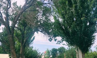 Dunhuang Zai · Yunqi Homestay