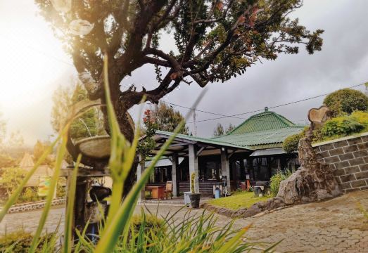 5. 브로모 페르마이..