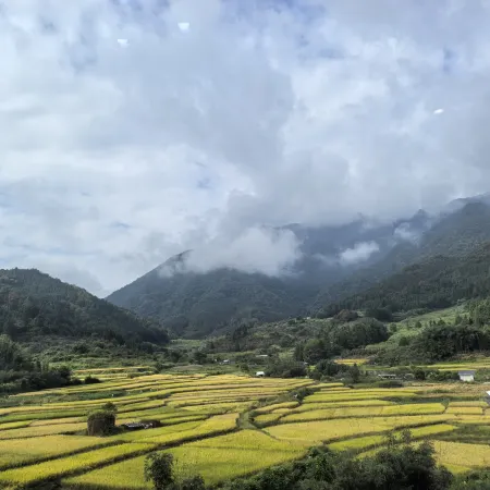 Lushan Bieyuan