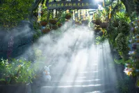 LiuLangCheng  Xiancao Secret Realm Homestay 광난 호텔