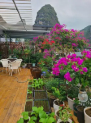 春蕾苑民宿（陽朔西街店）