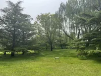PURE SILVAN HOTEL - Mountain view