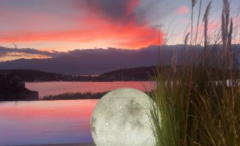 HIHAT Pioneer Art Hotel