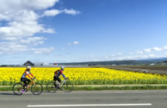 Furano Lookout