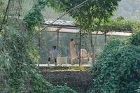 Guangzhou Shijian Xiangjing Qixidi Homestay - ติดทะเล