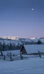 Forest and Elk Homestay - 4-Star