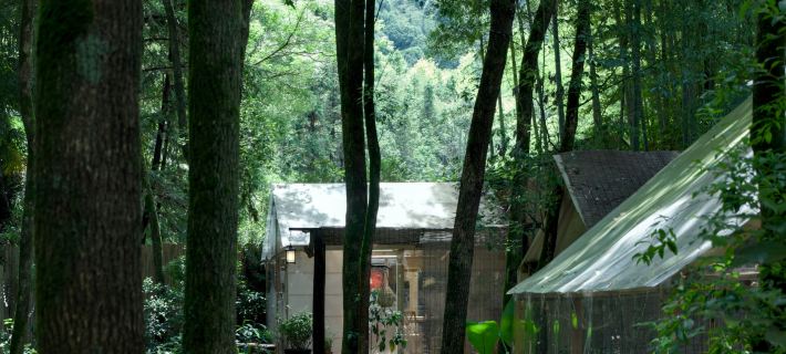 JDZ Forest Haven B&B Hotel a Jingdezhen