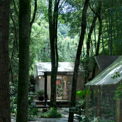 JDZ Forest Haven B&B Hotels near Sanbao International Ceramic Village