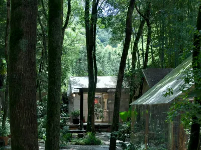 JDZ Forest Haven B&B Hotels in Sanbao international ceramic village