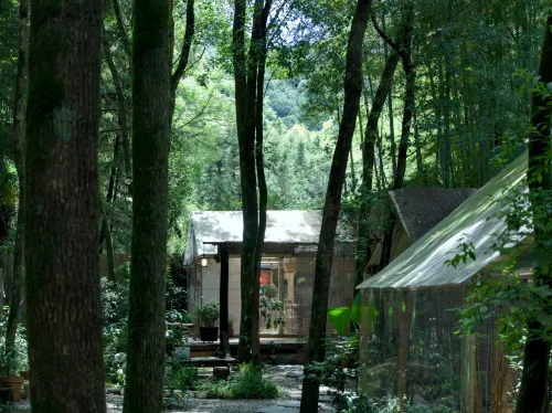 JDZ Forest Haven B&B - con vista montagne