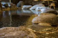 Hotel yoshino - spa