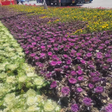 Mohe Yilong Hotel (Municipal Government Branch)