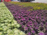 Mohe Yilong Hotel (Municipal Government Branch) Hotels in 