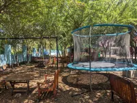 Mkomazi Hotels and Camp Sites - Wifi