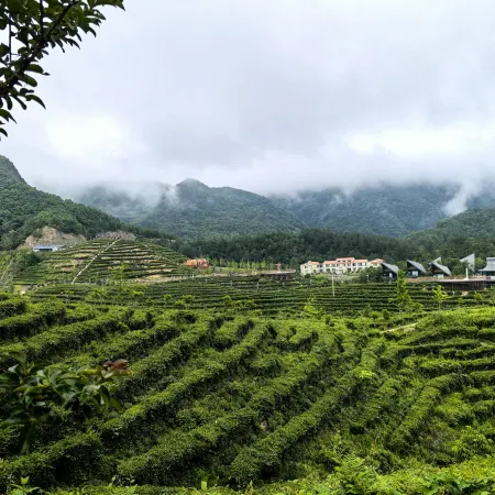 Ziyunju Hidden World Resort Tea Garden Homestay (Baokang Jiulu Zhai Branch)