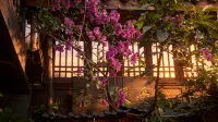 HuaFangYunShe homestay - Wi-Fi