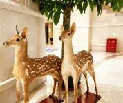 Vienna Hotel (Luchuan High-speed Railway Station) - parkir