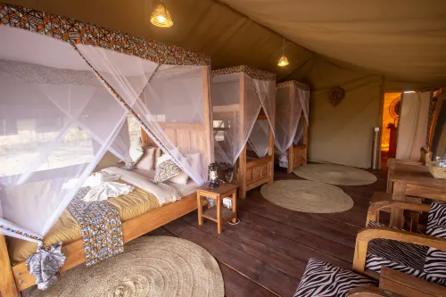 Africa Safari Serengeti Kusini - 3つ星