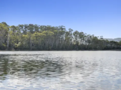 The Fox and Hounds Historic Hotel Hotels in Port Arthur