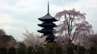 Sakuraya･Touji Kyoto Station Japanese Style Villa 미나미 구 호텔